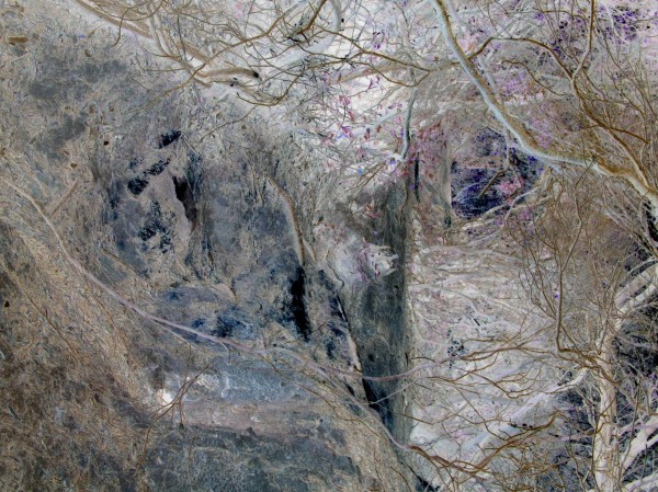 ProgrammierungWald