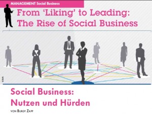 SocialBusiness