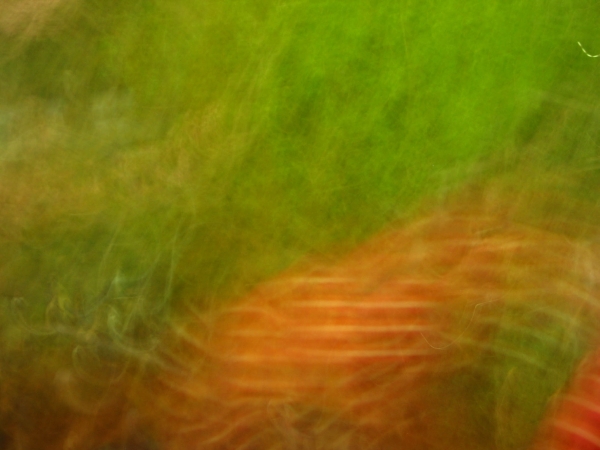 Künstler Burgy Zapp [http://burgyzapp.de]
